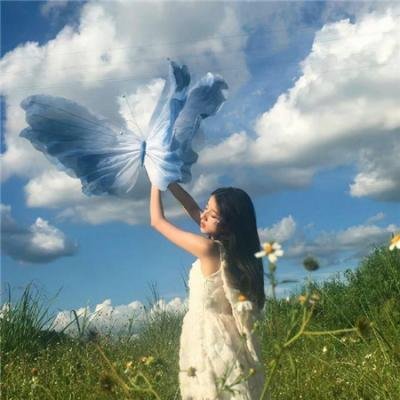 空中浩劫第二十四季